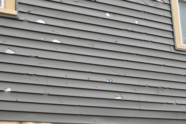 Best Insulated Siding Installation  in Earlington, KY