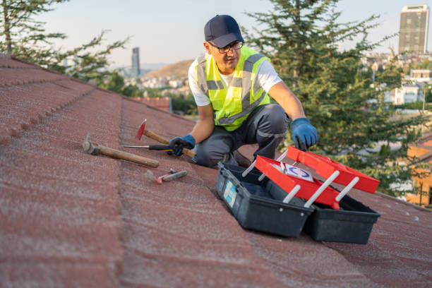 Best Storm Damage Siding Repair  in Earlington, KY